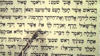 Haftorah Haftarah Reading for Parsha Zachor Amalek before Purim הפטרת זכור קריאה לפני פורים [upl. by Aciamaj74]