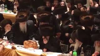 Satmar rebbe R Zalman Leib At Pshevorsk Wedding  Sivan 5777 [upl. by Oslec]