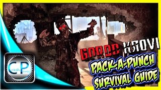 PackAPunch Room Survival Guide  Gorod Krovi Black Ops 3 Zombies [upl. by Ahsilek]