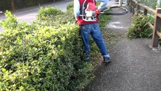 MORI AHT240 backpack knapsack hedge trimmer Cortasetos de mochila [upl. by Norita281]