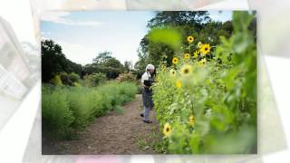 Ballymaloe House Gardens [upl. by Ppilihp]