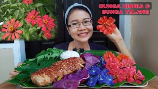 MUKBANG BUNGA ZINNIA  BUNGA TELANG  TUNA PANGGANG  KOL UNGU  DAUN PEPAYA  MUKBANG INDONESIA [upl. by Lleznov787]