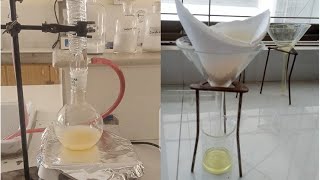 Synthesis of benzoyl hydrazide  reaction bw ester and hydrazine hydrated chemistry [upl. by Atrice]