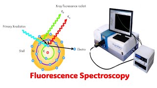 Fluorescence Spectroscopy l Explained with Animation [upl. by Sinnel]