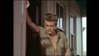 The James Dean Collection Trailer [upl. by Ruvolo]