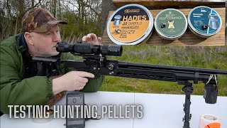 Testing HuntingPest Control Pellets with FX Dreamline Saber Tactical 22 amp Wulf 4Kscope [upl. by Narbig]