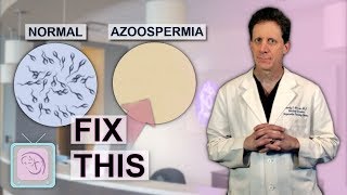 Azoospermia  Male infertility due to no sperm  How to get pregnant [upl. by Bradlee1]