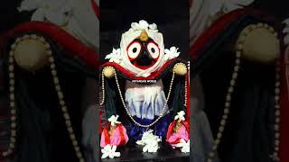 JAY Jagannath Swami Nayana Patha Gami Bhaba Tume 🙏🙏🙏🙏 [upl. by Giffer]