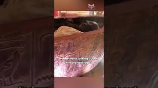 Historys BIGGEST Discovery in Ancient Egypt shorts short shortvideo history egypt discovery [upl. by Llenrev]