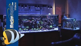 Marine Depot Featured Tank Matts Fully Loaded 300 Gallon Mixed Reef [upl. by Dagny]