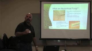 What are Mycorrhizal Fungi and How Do They Benefit Your Plants [upl. by Koetke]