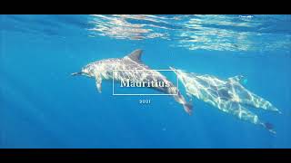 TRAVEL I MAURITIUS I 4K I SURFTRIP I SNORKELING DOLPHINES I ENGAGEMENT I KITESURFING I HIKING [upl. by Zaraf]