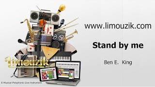 STAND BY ME  BEN E KING COVER LIMOUZIK [upl. by Nika]