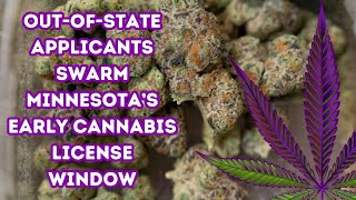 Outofstate applicants swarm Minnesota’s early cannabis license window [upl. by Kendal]