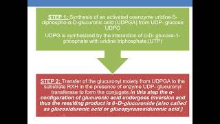 GLUCURONIDATION [upl. by Anana]