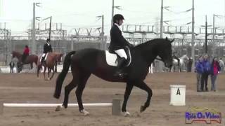 Beginner Novice Dressage Test [upl. by Edrick]