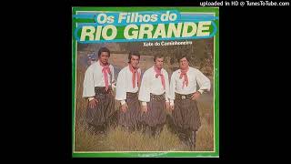 os filhos do rio grande gaiteiro decidido [upl. by Winston]