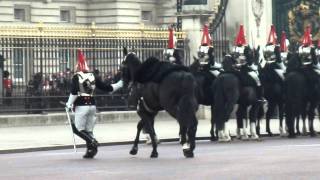 Guard gets Thrown Off His Horse Whilst The Queen Leaves Palace [upl. by Ahtan]