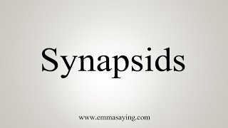 How To Say Synapsids [upl. by Quincy]