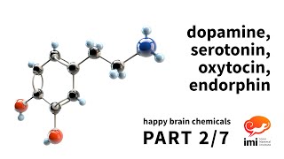 Dopamine Serotonin Oxytocin Endorphin 2 of 7  Happy Brain Chemicals [upl. by Kcam]