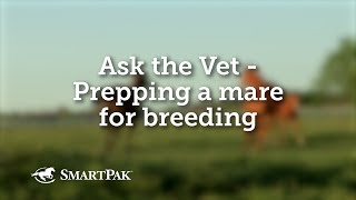 Ask the Vet  Prepping a mare for breeding [upl. by Ahsehyt]