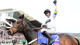 WHAT A PERFORMANCE Constitution Hill blows them away in the 2022 Sky Bet Supreme Novices Hurdle [upl. by Akaenahs]