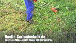 Husqvarna Akkusense 536 LiR XP mit Messer und UnkrautbÃ¼rste [upl. by Rawdon]