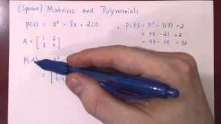 Matrices and Polynomials [upl. by Iyre710]