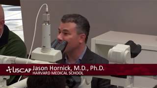 USCAP Jason Hornicks Deep Soft Tissue Tumors Spindle Cell Tumors [upl. by Ehudd]