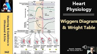 Heart Physiology Wiggers Diagram amp Wright Table [upl. by Adyht]