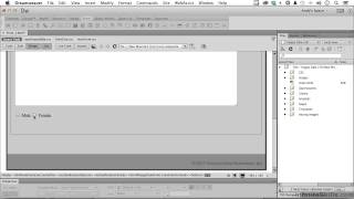 Adobe Dreamweaver CC Tutorial  Adding Radio Buttons And Checkboxes [upl. by Hough]