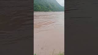 chenab riveron mood rain flood high alert [upl. by Yezdnil]