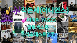 색소폰연주🎷🎶작은새 어니언스 야마하YAS23 알토색소폰 수리후 테스트연주 엘프919반주기 녹음영상 30년경력 악기조율사 창원마산울림악기 [upl. by Vinson]