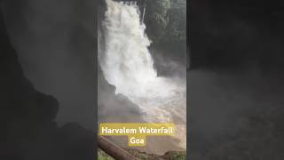 Bestest Harvalem waterfalls Goa😍🌦 goainmonsoon waterfallsingoa waterfall harvalemwaterfall😍🔥🔥 [upl. by Rufina]