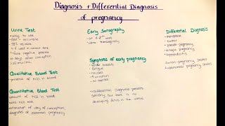 pregnancy diagnosis amp differential diagnosis [upl. by Graces948]