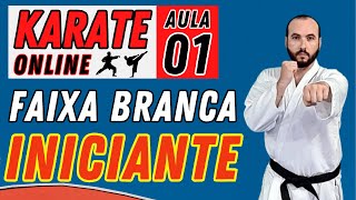 KARATE ONLINE  Aula 01  Iniciantes  GUARDA DE LUTA  POSTURA DE BASE  SOCO  CHUTE FRONTAL [upl. by Hun145]