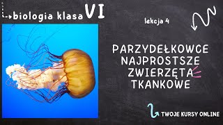 Biologia klasa 6 Lekcja 4  Parzydełkowce  najprostsze zwierzęta tkankowe [upl. by Drofiar]