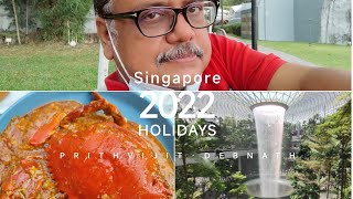 Singapore travel starts  Dubai to New Delhi airport experience Part 1 [upl. by Archangel]