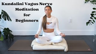 11 Minute Vagus Nerve Meditation  This will instantly calm you [upl. by Leynad]