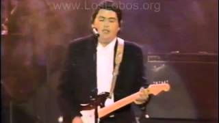 1987 Los Lobos quotLa Bambaquot LIVE at MTV Awards [upl. by Sharyl]