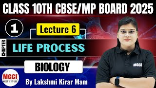 Life ProcessL06BiologyClass 10thMGCI INDORE [upl. by Neirb]