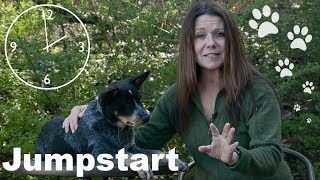 How to Housebreak a Puppy  Jumpstart Puppy Series [upl. by Friedberg]