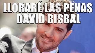 LLORARÉ LAS PENAS  DAVID BISBAL [upl. by Corly]