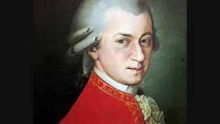 Mozart  String Serenade No13 quotEine Kleine Nachtmusikquot in G Major KV525  1st Movement [upl. by Jerad342]