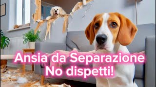 Ansia da Separazione nei Cani 🐶 5 Segnali da Riconoscere 🔍 [upl. by Assiled500]