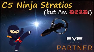 EVE Online  Stratios C5 Ninja  but Im dead now [upl. by Tsenrae680]