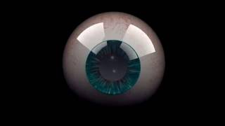 3D Eyeball Animation [upl. by Jamin]