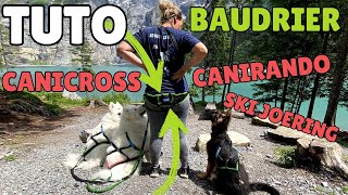 Tuto  Baudrier Aircross pour CaniRando CaniCross amp Ski Joëring 🐾 [upl. by Iverson333]