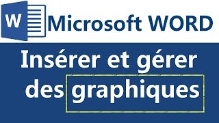 Insertion et gestion des graphiques sous Microsoft Word [upl. by Lorollas]