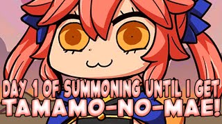 DAY 1 of SUMMONING UNTIL I GET TAMAMONOMAE 🦊 FATE GRAND ORDER NA [upl. by Templer137]